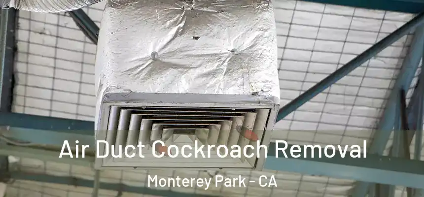 Air Duct Cockroach Removal Monterey Park - CA