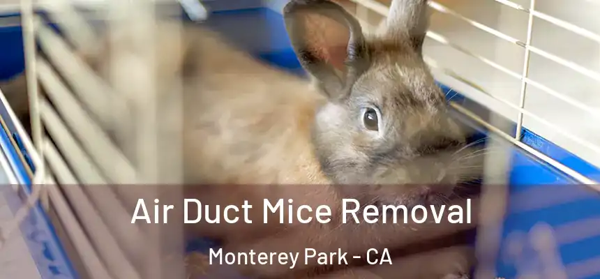  Air Duct Mice Removal Monterey Park - CA