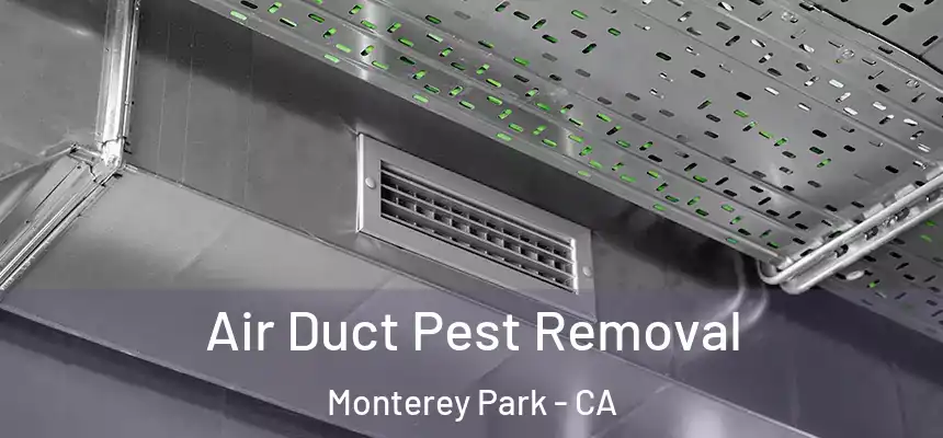 Air Duct Pest Removal Monterey Park - CA