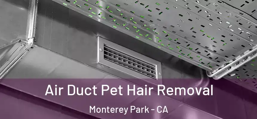 Air Duct Pet Hair Removal Monterey Park - CA