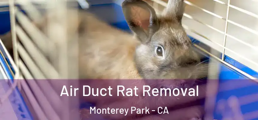  Air Duct Rat Removal Monterey Park - CA