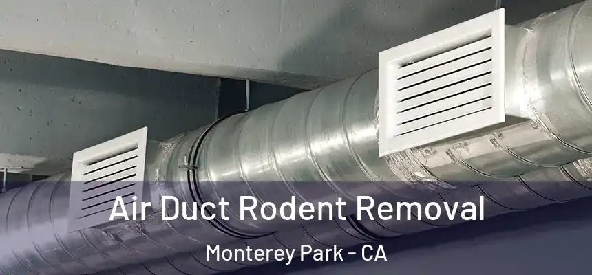 Air Duct Rodent Removal Monterey Park - CA