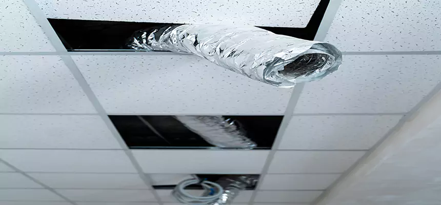 Our Air Duct Pet Hair Removal Services in Monterey Park, CA