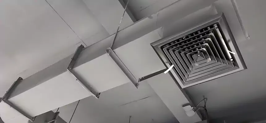 Our Pest Removal From Ducts Services in Monterey Park, CA