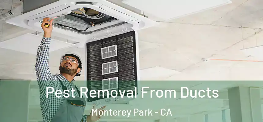 Pest Removal From Ducts Monterey Park - CA