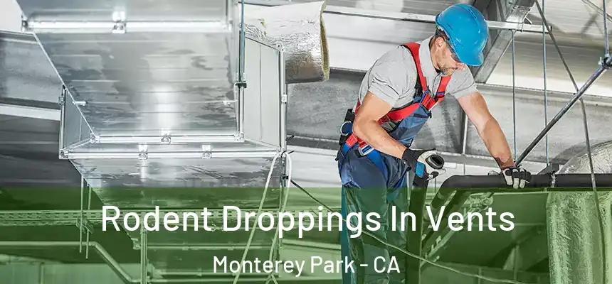  Rodent Droppings In Vents Monterey Park - CA