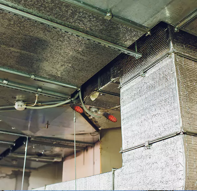 Why Homeowners & Businesses Trust Us in Monterey Park, CA?